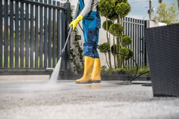 Animal Enclosure Cleaning in Gunter, TX